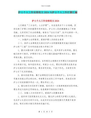 护士个人工作安排范文2024与护士个人工作打算汇编