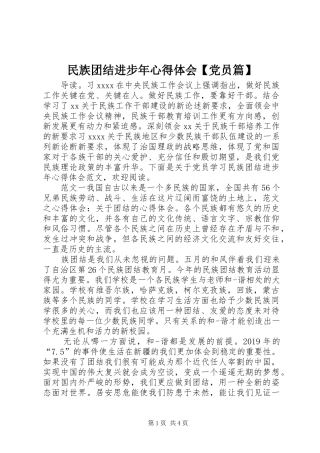 民族团结进步年心得体会【党员篇】