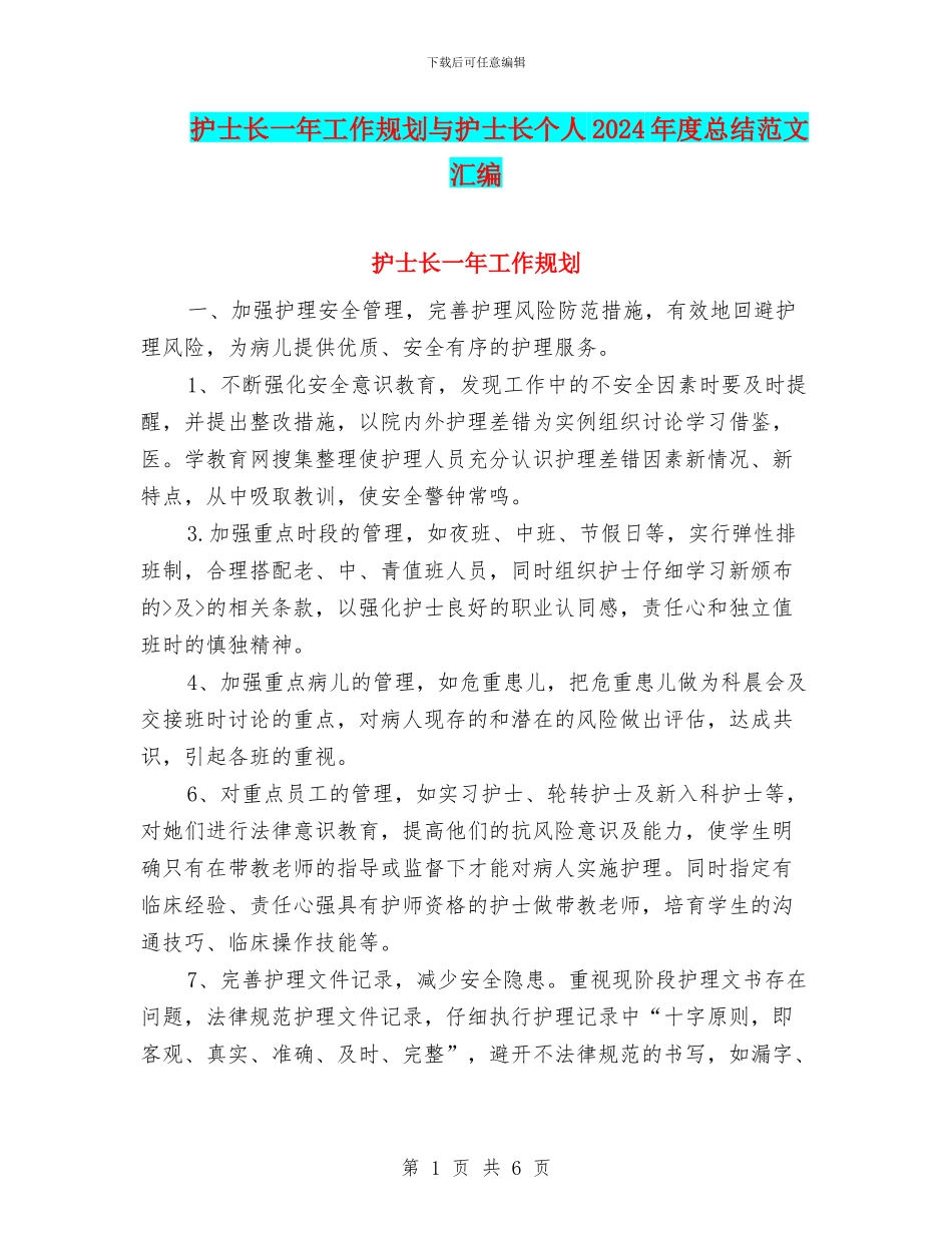 护士长一年工作规划与护士长个人2024年度总结范文汇编_第1页