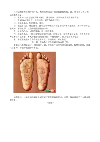 任何试图更改生物钟的行为