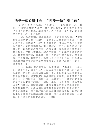 两学一做心得体会：“两学一做”要“正”