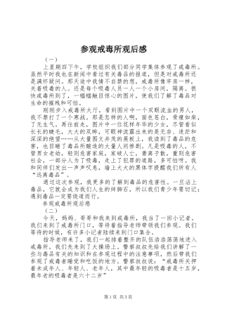参观戒毒所观后感