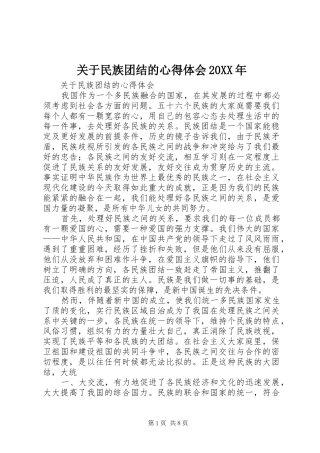 关于民族团结的心得体会20XX年