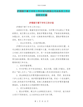 护理部干事下半年工作计划与担保公司业务员工作计划范文汇编