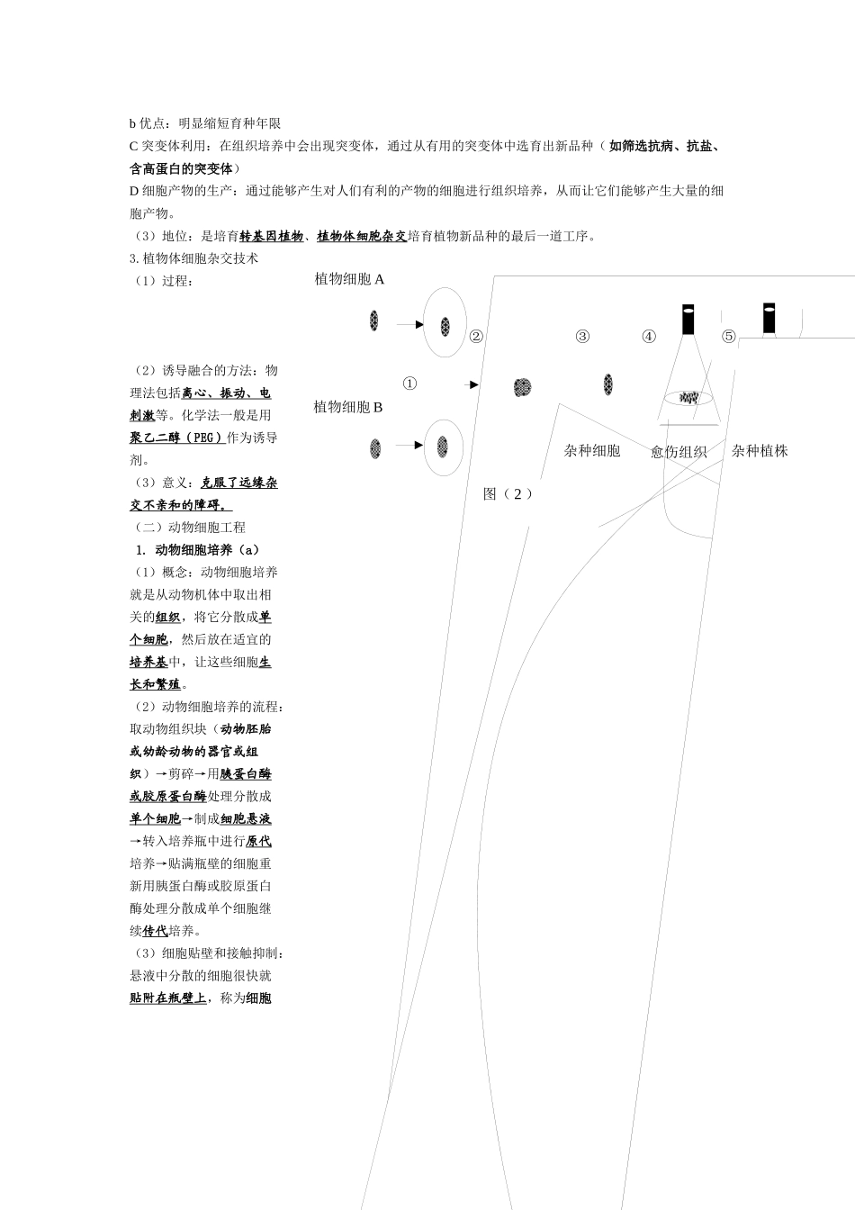 生物：《现代生物科技专题》书本知识点总结学案_第3页