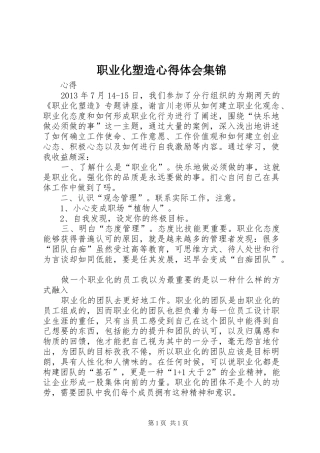 职业化塑造心得体会集锦