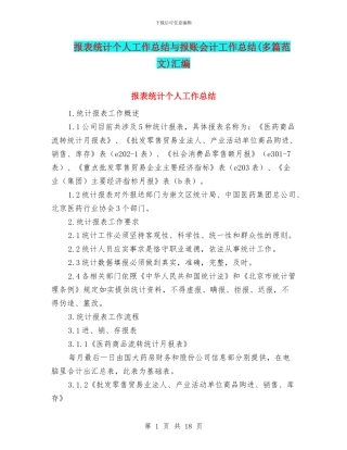 报表统计个人工作总结与报账会计工作总结汇编