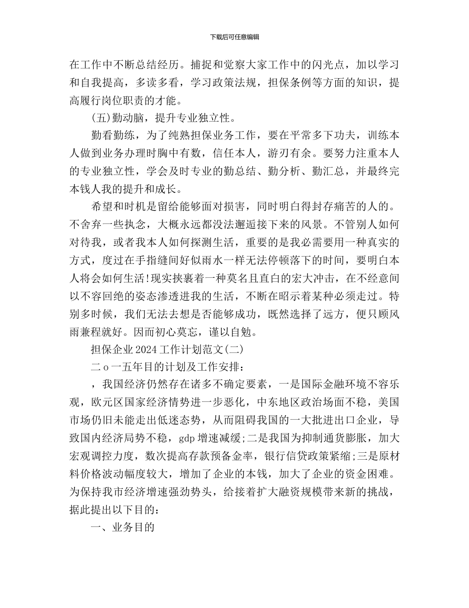 担保企业工作计划_第2页