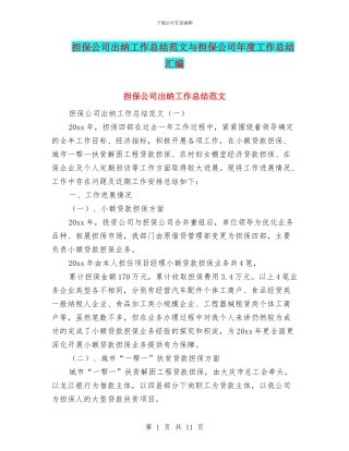 担保公司出纳工作总结范文与担保公司年度工作总结汇编