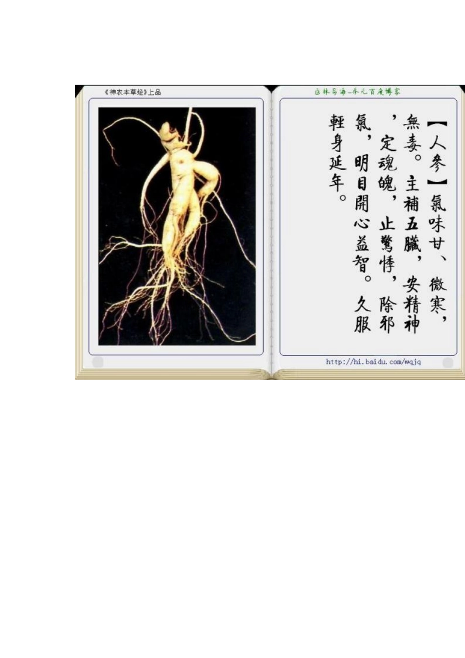 中草药(图文介绍)_第1页