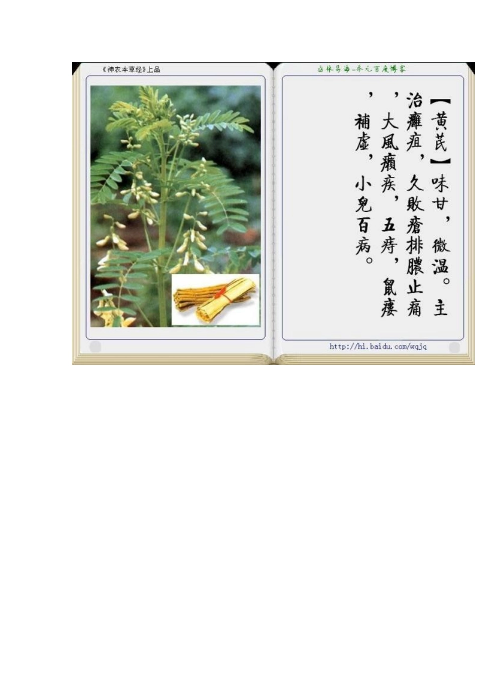 中草药(图文介绍)_第2页