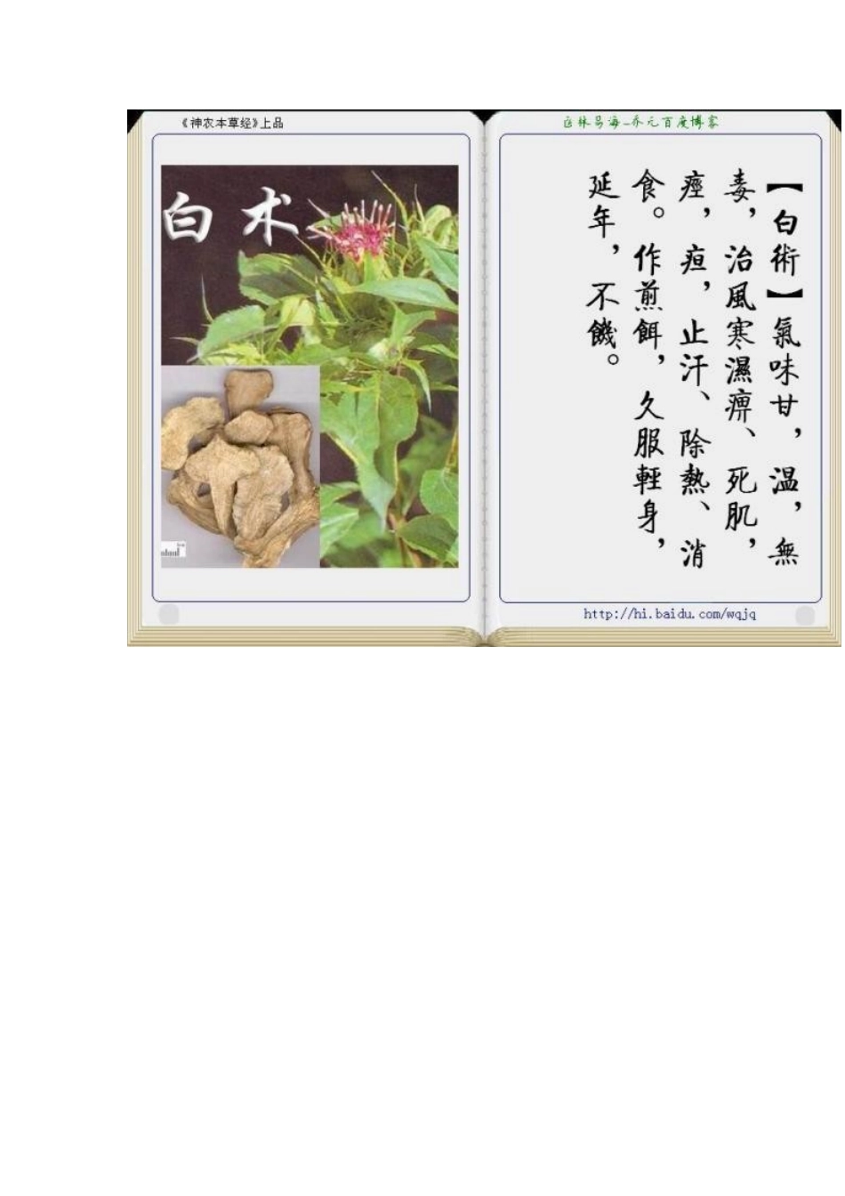 中草药(图文介绍)_第3页