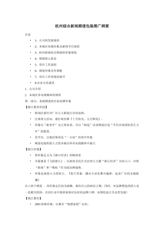 杭州综合新闻频道包装推广纲要