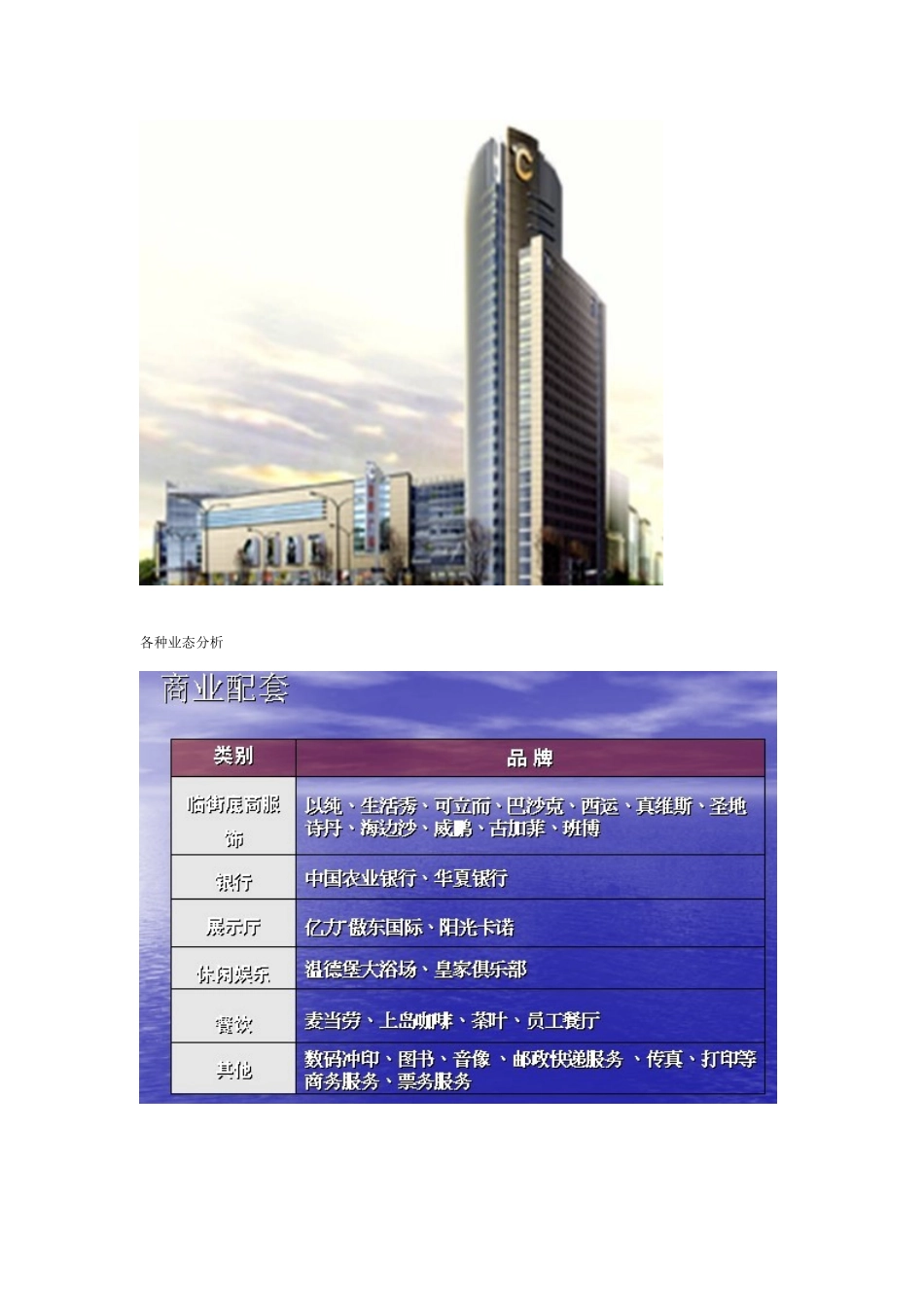 百强商业地产项目案例之四十六--呼和浩特首府广场_第3页
