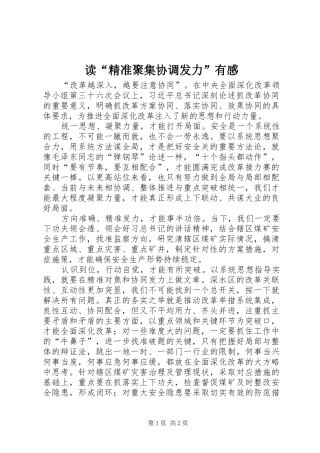 读“精准聚集协调发力”有感