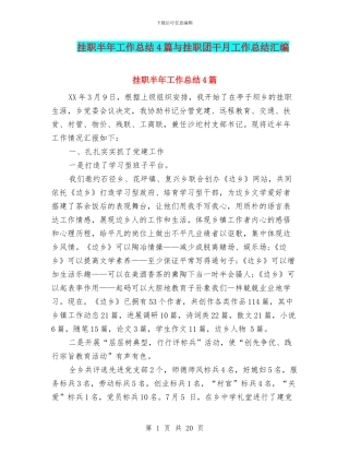 挂职半年工作总结4篇与挂职团干月工作总结汇编