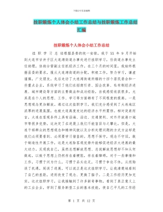 挂职锻炼个人体会小结工作总结与挂职锻炼工作总结汇编