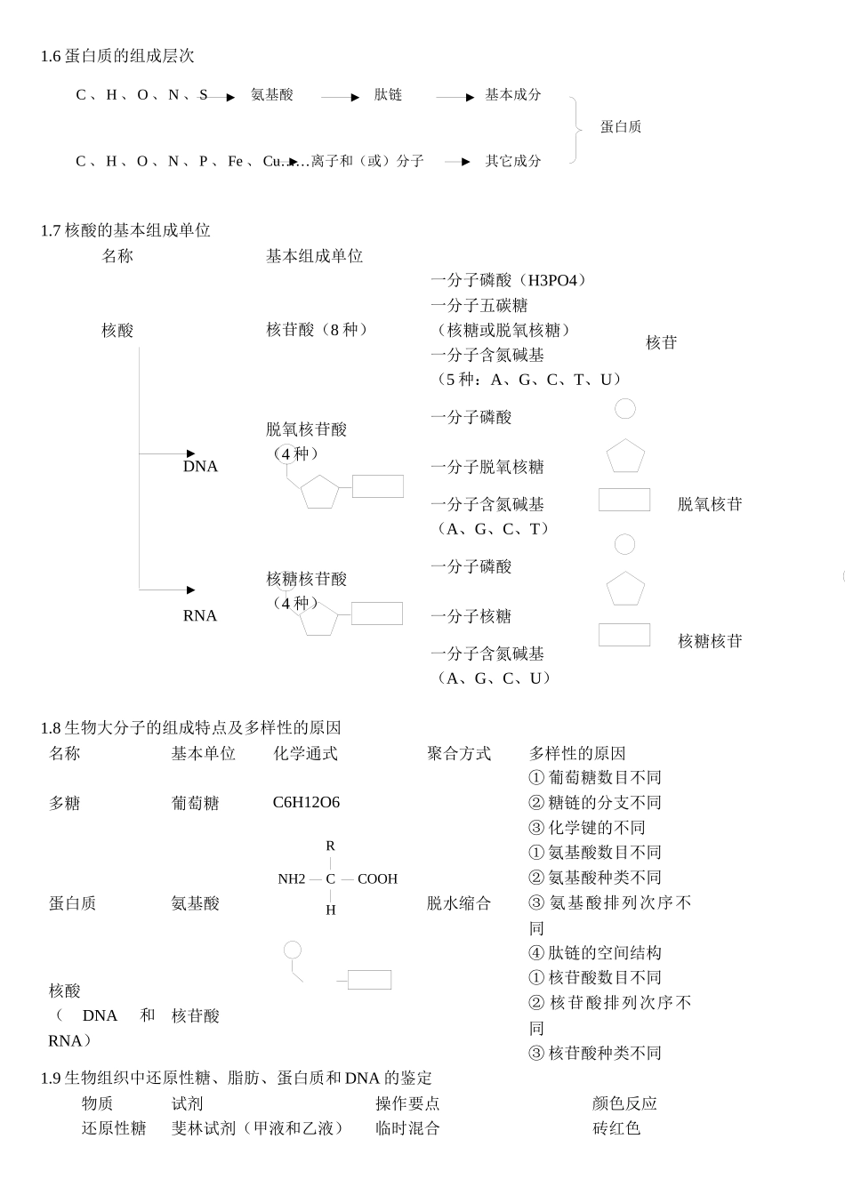 高中复习生物知识结构总汇_第3页