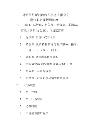 昆明雷尼新能源汽车