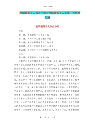 挂职锻炼个人体会小结与挂职锻炼个人半年工作总结汇编