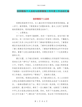 挂职锻炼个人总结与挂职锻炼工作年度工作总结汇编