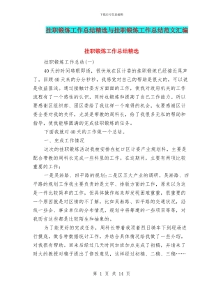 挂职锻炼工作总结精选与挂职锻炼工作总结范文汇编