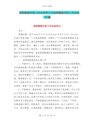 挂职锻炼年度工作总结范文与挂职锻炼年终工作总结1汇编
