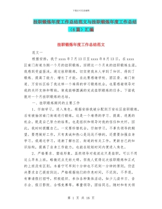 挂职锻炼年度工作总结范文与挂职锻炼年度工作总结汇编