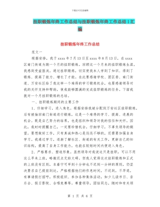 挂职锻炼年终工作总结与挂职锻炼年终工作总结1汇编