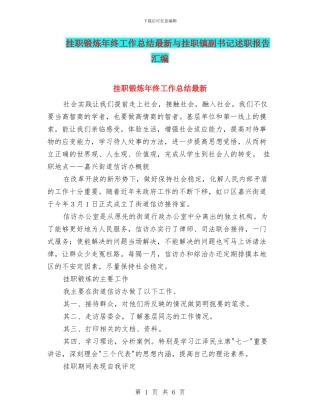 挂职锻炼年终工作总结最新与挂职镇副书记述职报告汇编