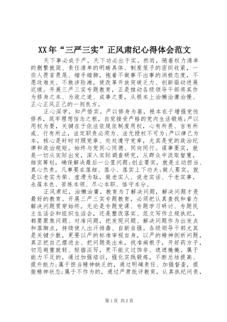 XX年“三严三实”正风肃纪心得体会范文