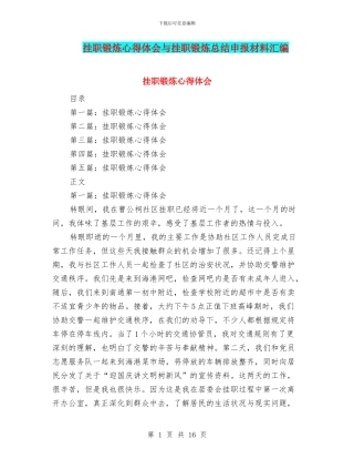 挂职锻炼心得体会与挂职锻炼总结申报材料汇编