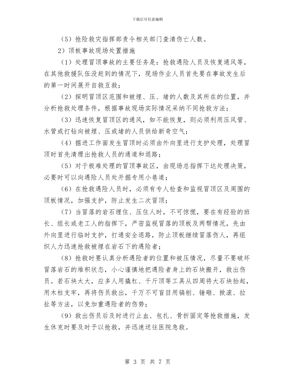 掘进工作面顶板重大风险管控方案与接待大型会议安全保卫预案汇编_第3页