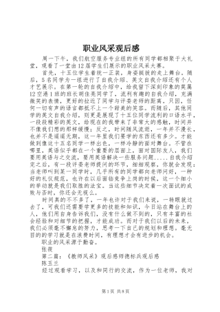 职业风采观后感