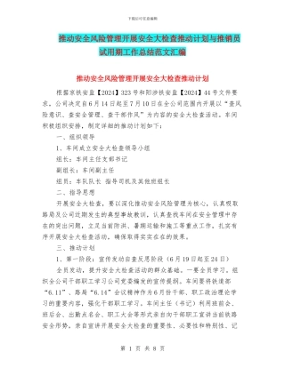 推进安全风险管理开展安全大检查推进计划与推销员试用期工作总结范文汇编