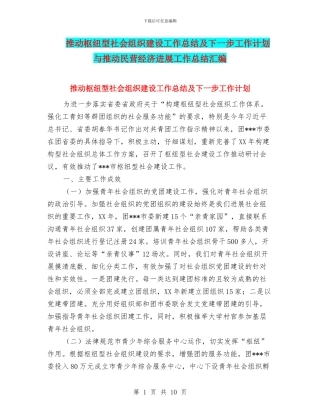 推进枢纽型社会组织建设工作总结及下一步工作计划与推进民营经济发展工作总结汇编