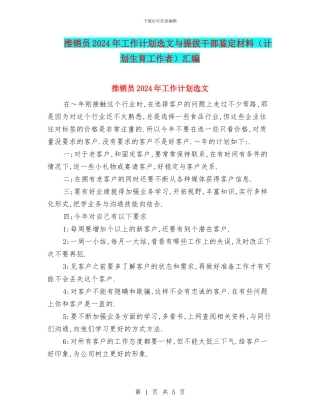 推销员2024年工作计划选文与提拔干部鉴定材料汇编