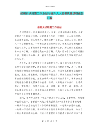 推销员试用期工作总结与提升人大监督质量调研报告汇编