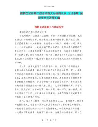 推销员试用期工作总结范文与提高认识