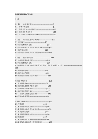 深圳某某商业地产策划案
