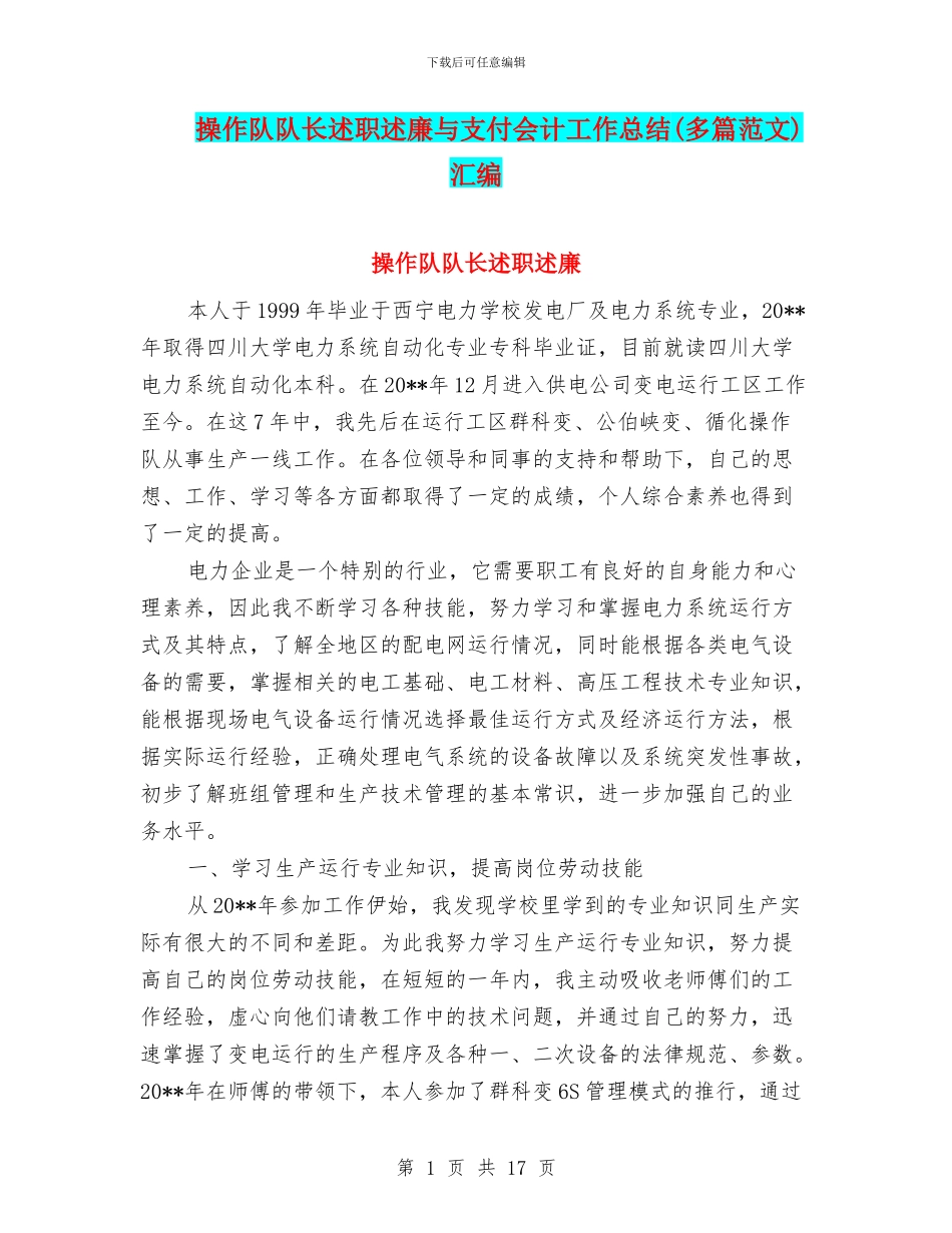 操作队队长述职述廉与支付会计工作总结汇编_第1页