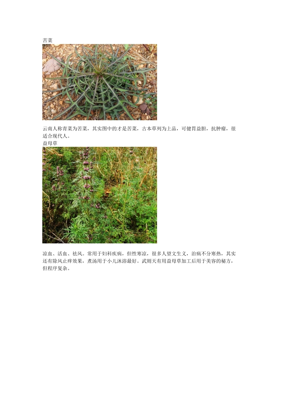 身边常见中草药(DOC32页)_第2页