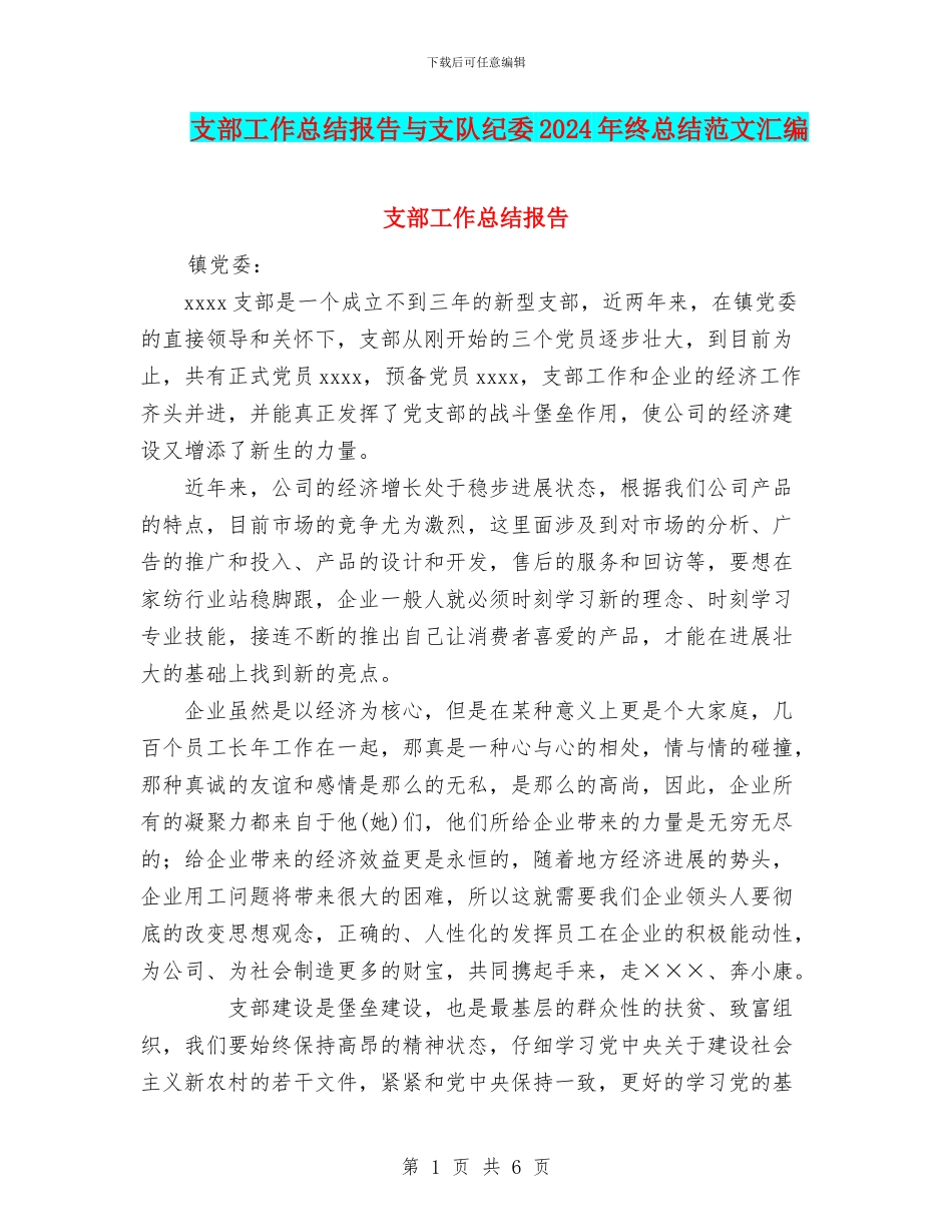 支部工作总结报告与支队纪委2024年终总结范文汇编_第1页