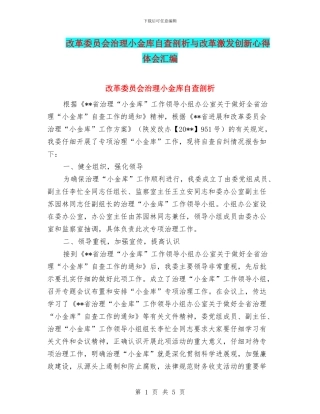 改革委员会治理小金库自查剖析与改革激发创新心得体会汇编