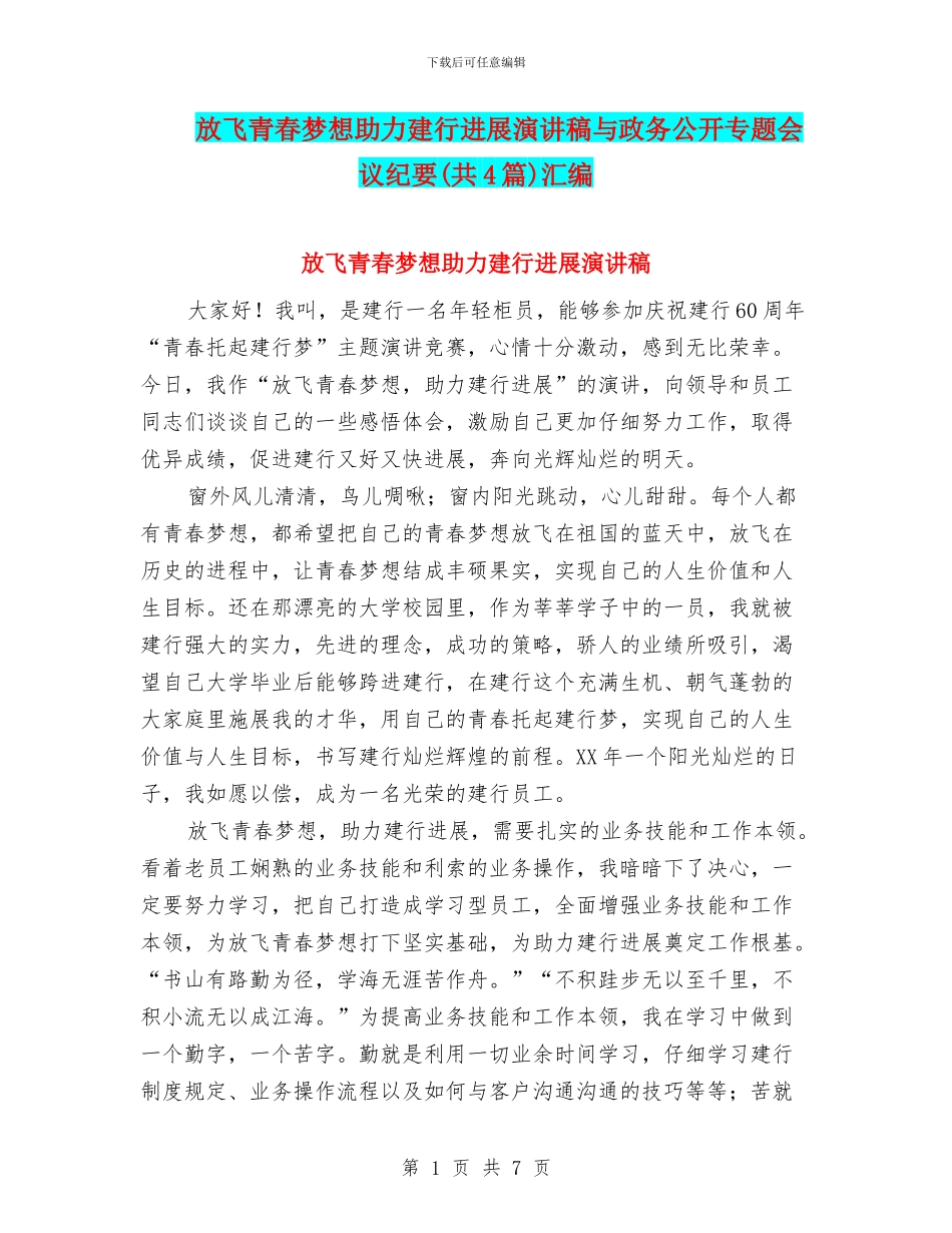 放飞青春梦想助力建行发展演讲稿与政务公开专题会议纪要汇编_第1页
