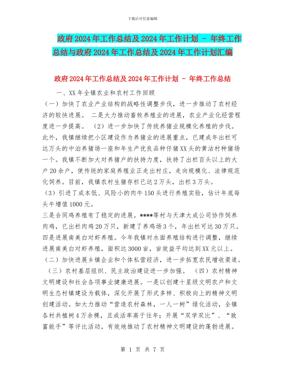 政府2024年工作总结及2024年工作计划_第1页
