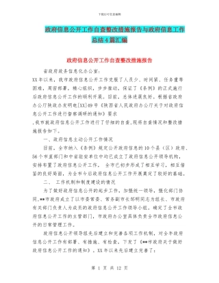 政府信息公开工作自查整改措施报告与政府信息工作总结4篇汇编