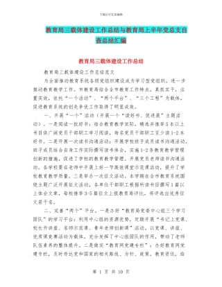 教育局三载体建设工作总结与教育局上半年党总支自查总结汇编