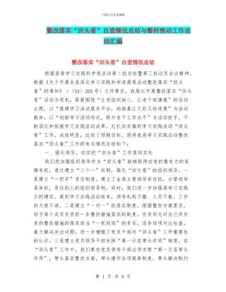 整改落实“回头看”自查情况总结与整村推进工作总结汇编