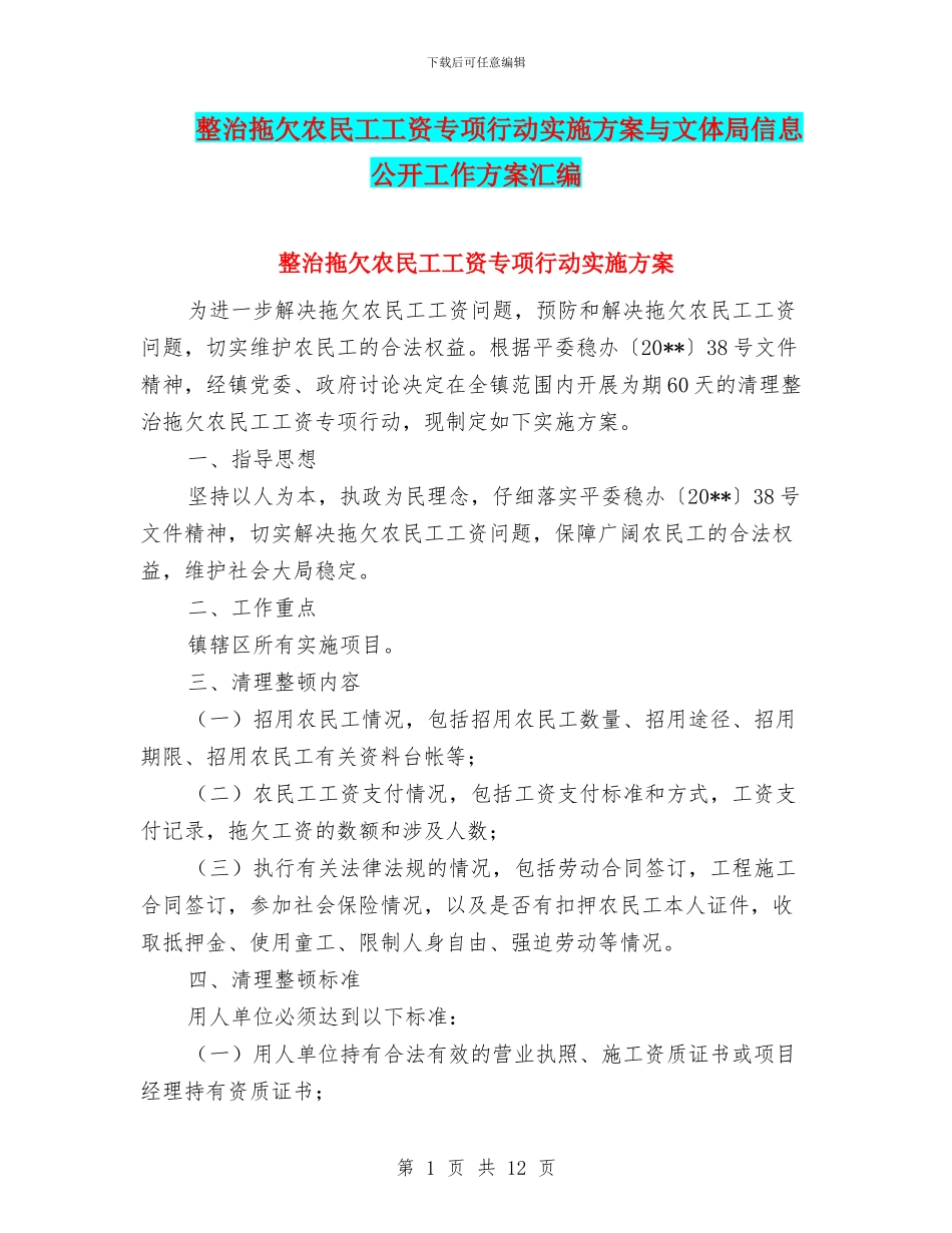 整治拖欠农民工工资专项行动实施方案与文体局信息公开工作方案汇编_第1页